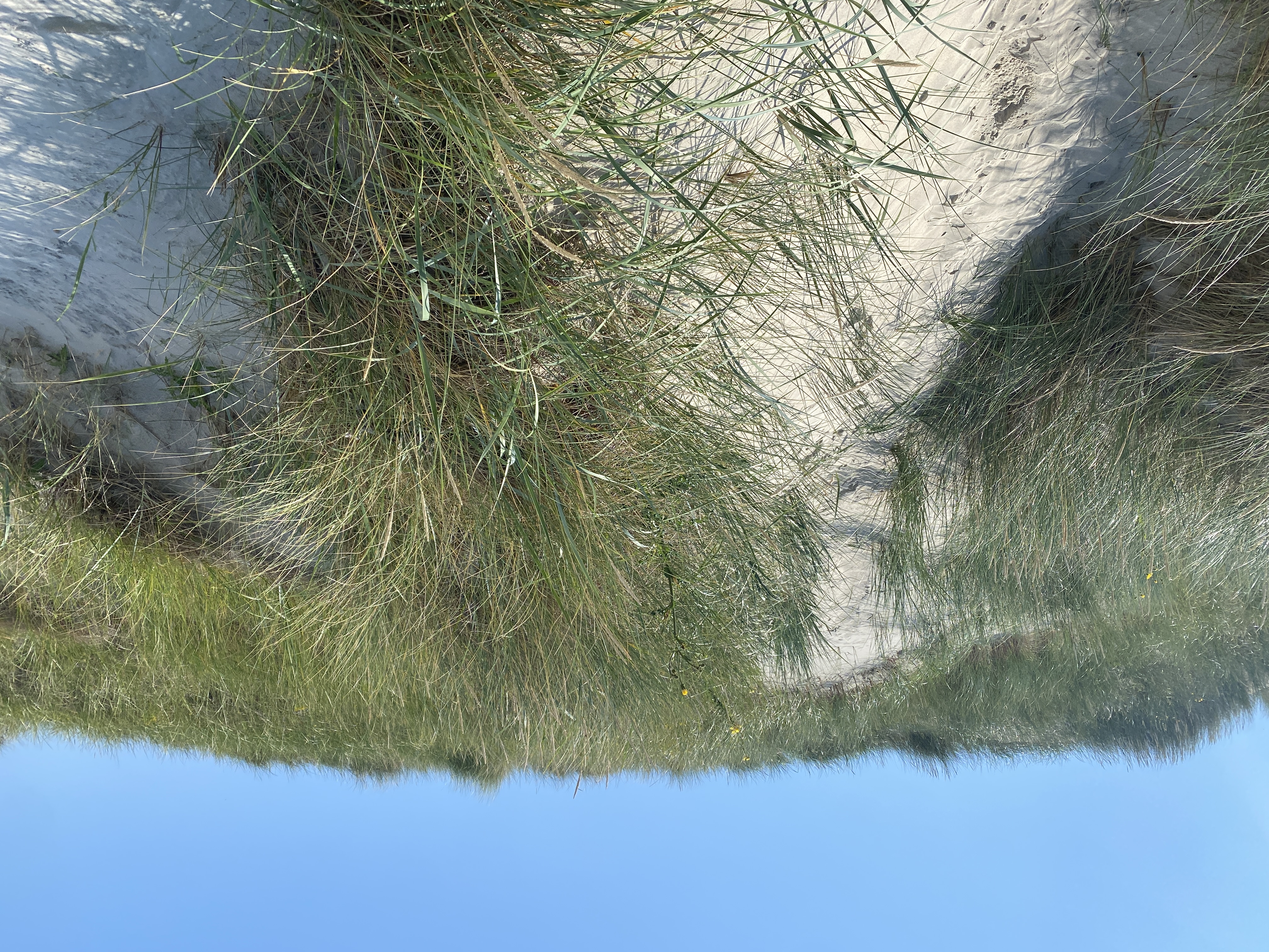 Nordsee bei Neßmersiel