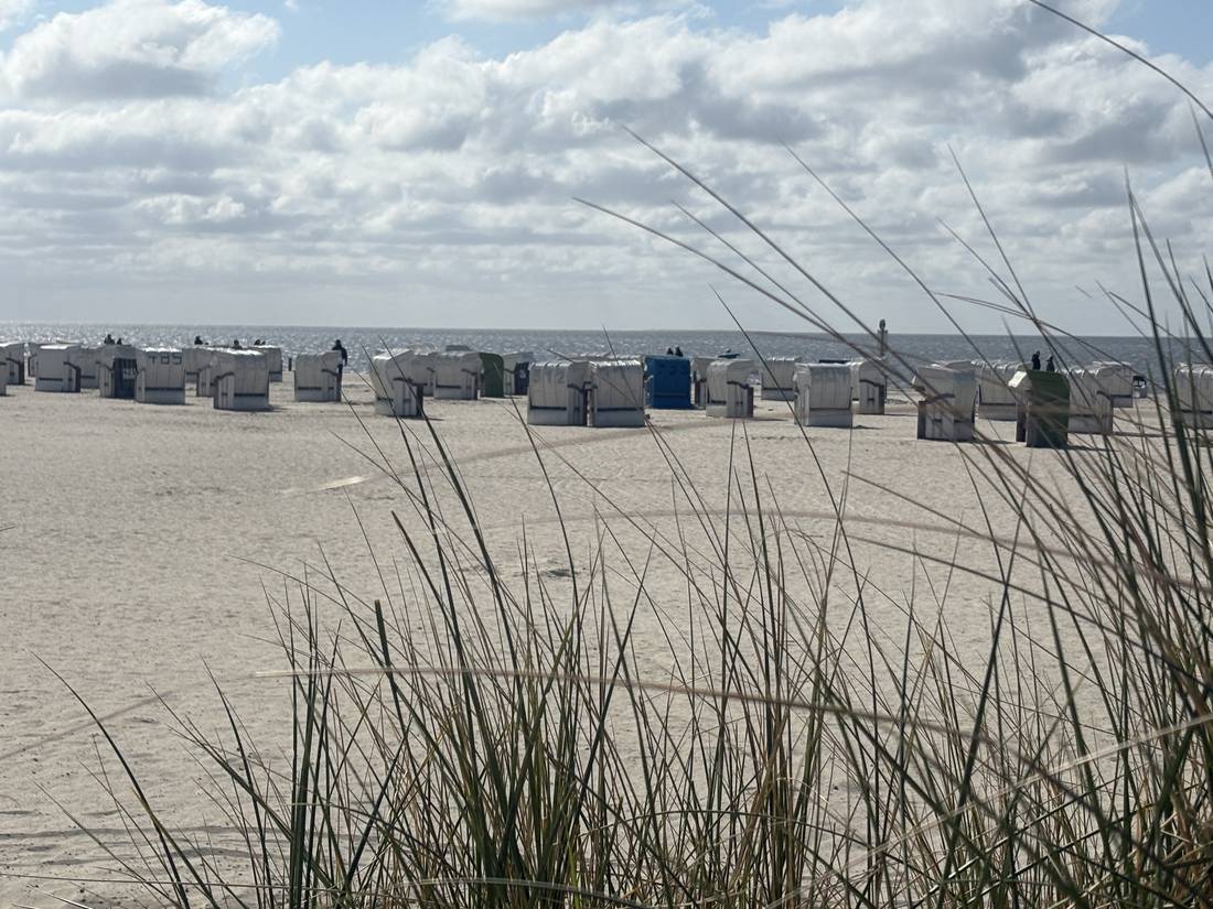 Strandkörbe im Dünengras